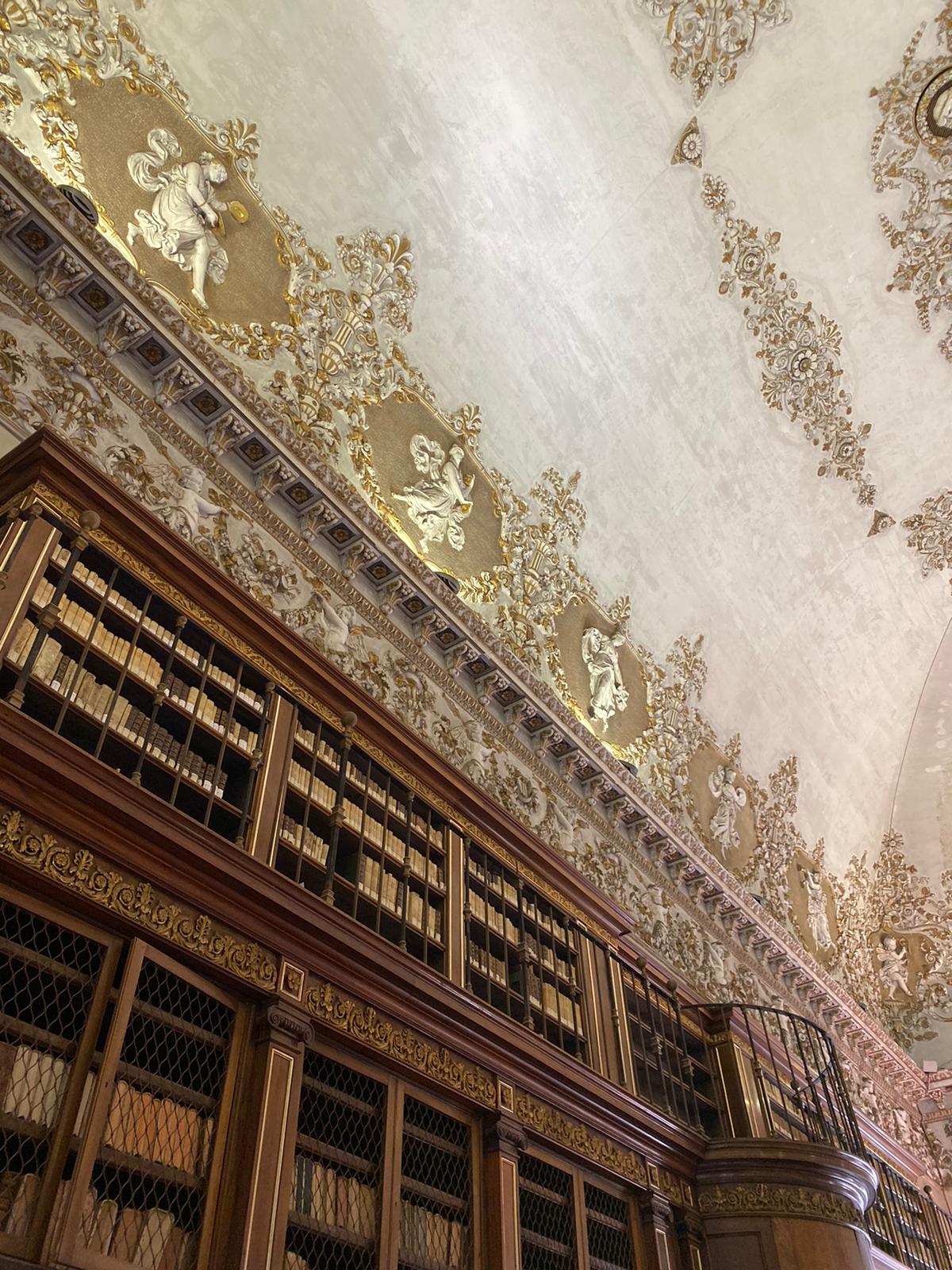 biblioteca_10
