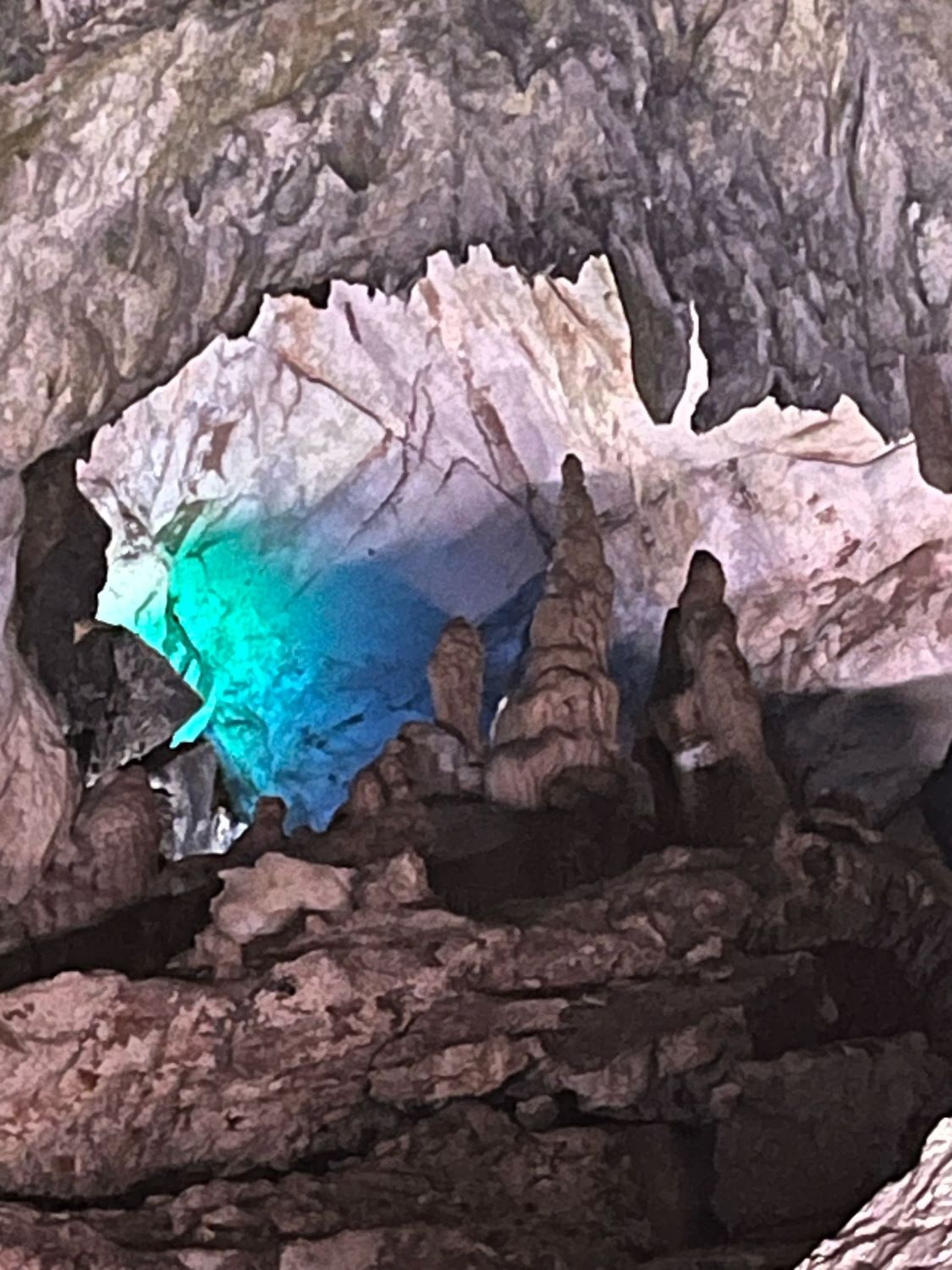 6c
